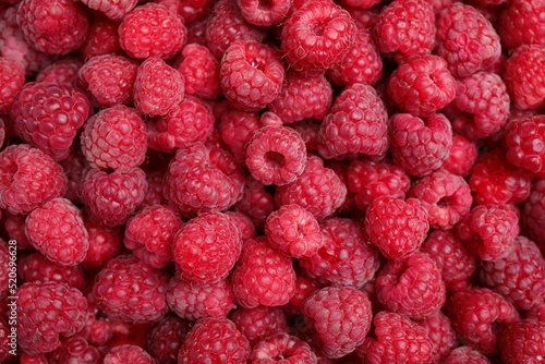 Many fresh red ripe raspberries as background, top view