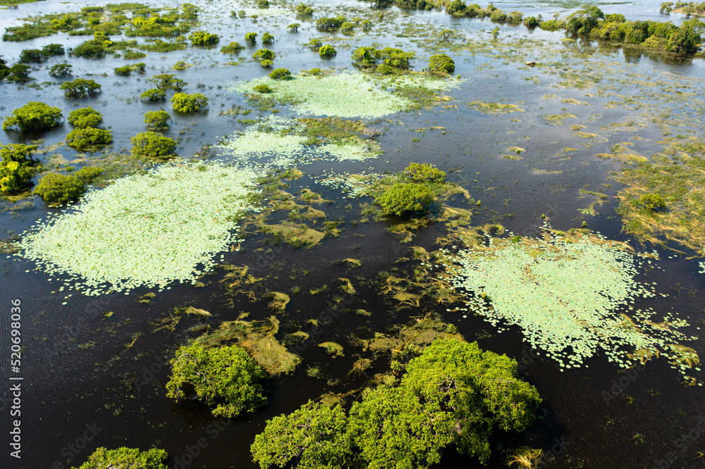 Aerial view of Lake with tropical vegetation in Kumana National Park. Sri Lanka.