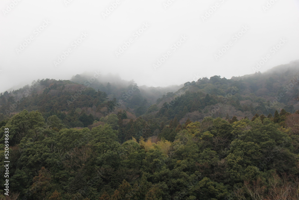 濃霧が立ち込める山の風景