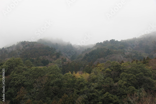 濃霧が立ち込める山の風景 © misumaru51shingo