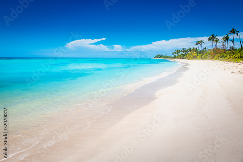 Tropical paradise: idyllic caribbean beach with palm trees, Punta Cana, Saona photo