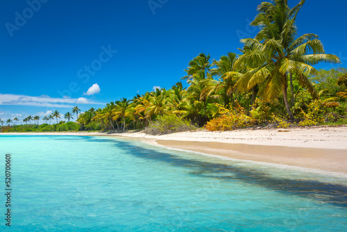 Tropical paradise  idyllic caribbean beach with palm trees  Punta Cana  Saona