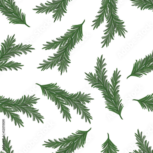 seamless pattern of green fir leaves