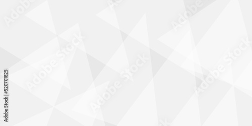 Abstract white and gray polygon triangle pattern. Geometric paper texture design .Colorful gradient mosaic background. Geometric triangle, mosaic, abstract background. Mosaic, one-color background.