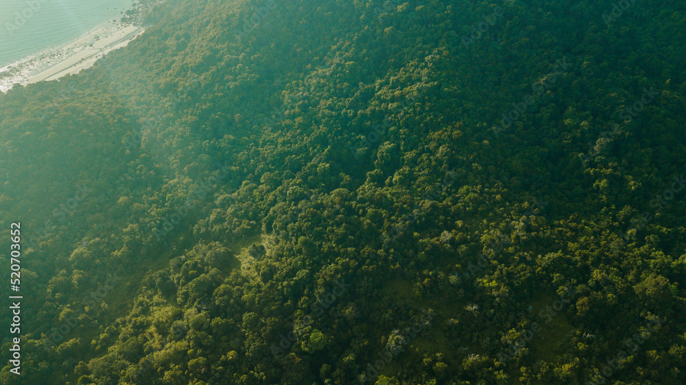 Aerial drone view of tropical trees scenery at Besar Island or Pulau Besar in Mersing, Johor, Malaysia