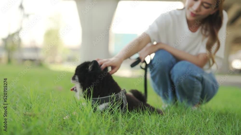 Happy young asian woman playing and sitting on grass in the park with her dog. Pet lover concept Happy young asian woman playing and sitting on grass in the park with her dog. Pet lover concept