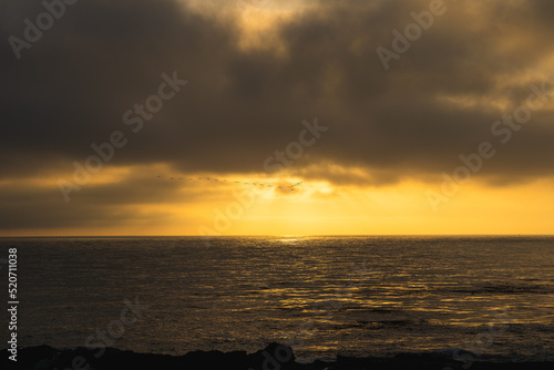 birds flying into sunset 