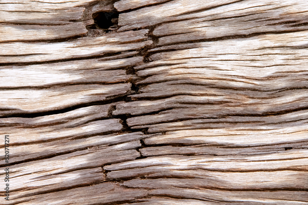 Fototapeta premium Wooden old texture abstract cracked brown background