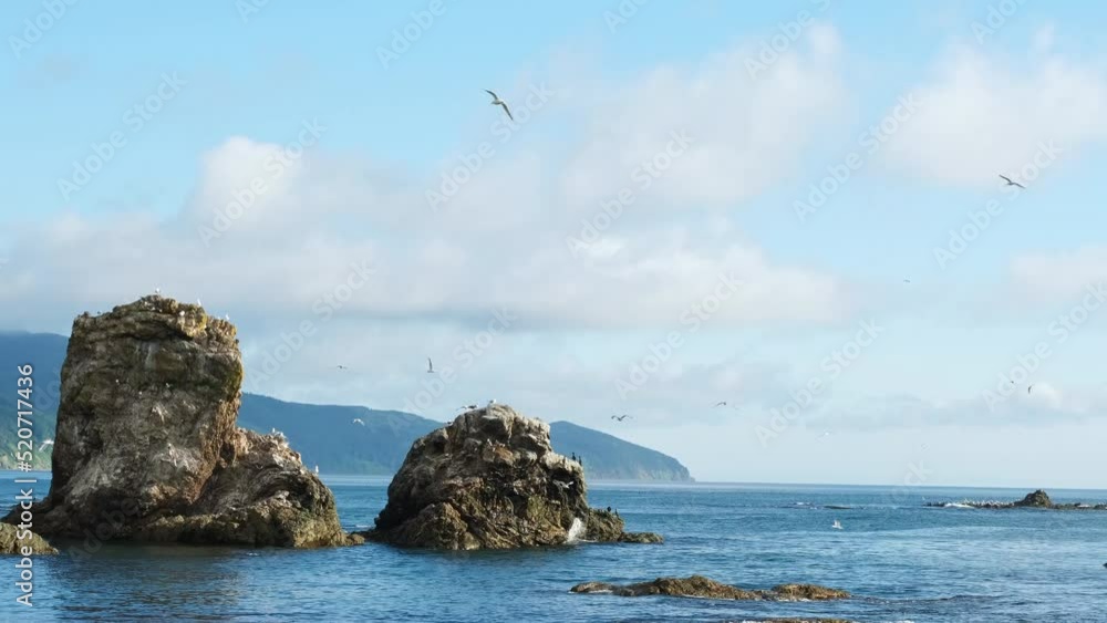 View of the sea and rocks inhabited by gulls and cormorants. Birds fly over the sea and rocks against a background of blue sky with clouds and green hills. View of the sea and rocks inhabited by gulls and cormorants. Birds fly over the sea and rocks against a background of blue sky with clouds and green hills.