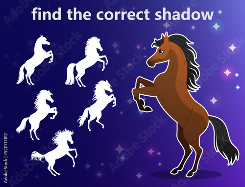 A puzzle game for kids. Choose the right shadow. Vector illustration with cute horse