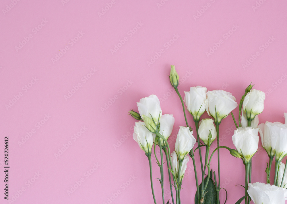 White fresh eustoma flowers on a light pink background. Pastel color. Flat lay. Close-up. Empty space for inspirational text, great quote or positive sayings.