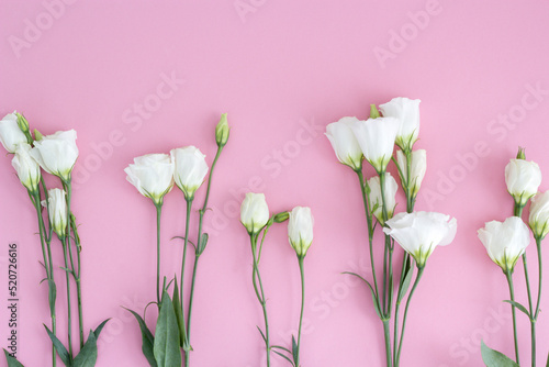 White fresh eustoma flowers on a light pink background. Pastel color. Flat lay. Close-up. Empty space for inspirational text, great quote or positive sayings. © VIK