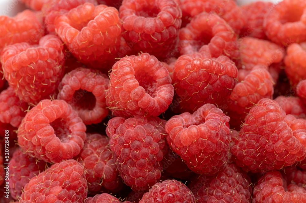 Fresh and sweet raspberries background. Fresh organic ripe raspberry. Bunch of red raspberries. top view Fresh and sweet raspberries background. Fresh organic ripe raspberry. Bunch of red raspberries. top view