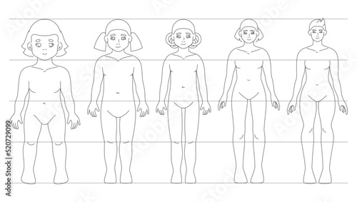 Proportions of kid girl body in different ages. Outline vector illustration figure from baby to adult. Women growth stages