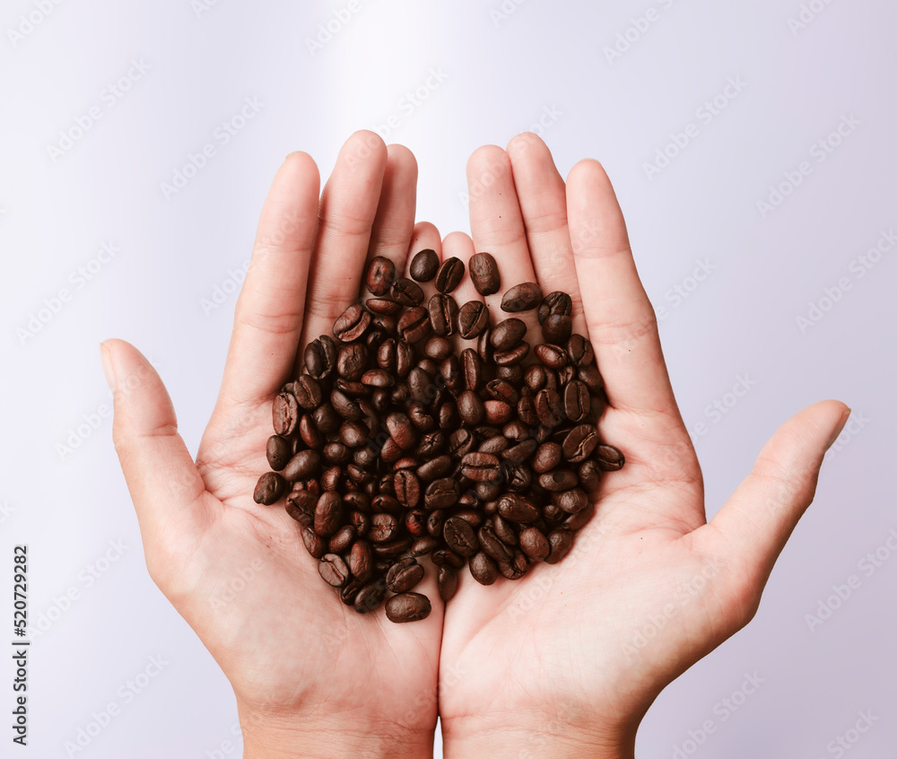 View of Asia female hands with roasted coffee beans pouring out of cupped hands in bunch of other coffee seeds. Grains of fresh coffee roasting in hands with blurred background. View of Asia female hands with roasted coffee beans pouring out of cupped hands in bunch of other coffee seeds. Grains of fresh coffee roasting in hands with blurred background.