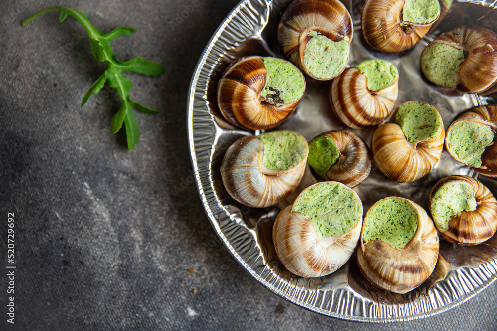 snails food green meal food snack diet on the table copy space food background snails food green meal food snack diet on the table copy space food background