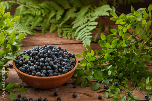 Fresh juicy wild blueberries in a bowl on a wooden background. Around the leaves of blueberries and ferns. Close-up.