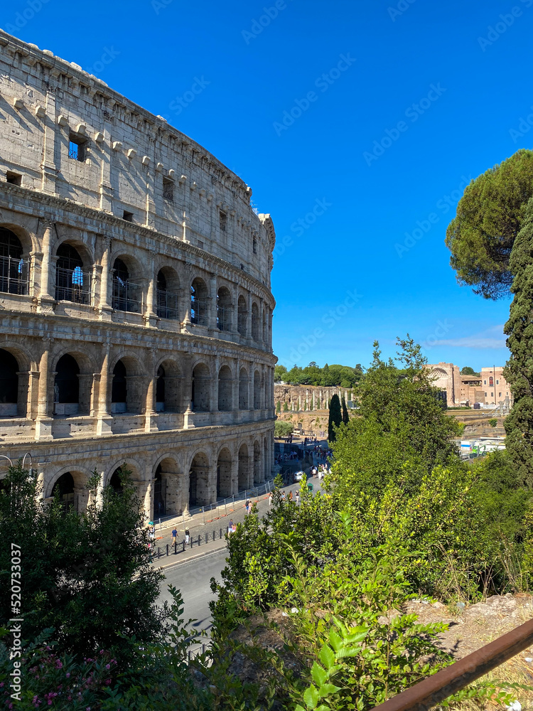 Stunning Beautiful Natural View of the Colosseum or Coliseum Behind the Trees