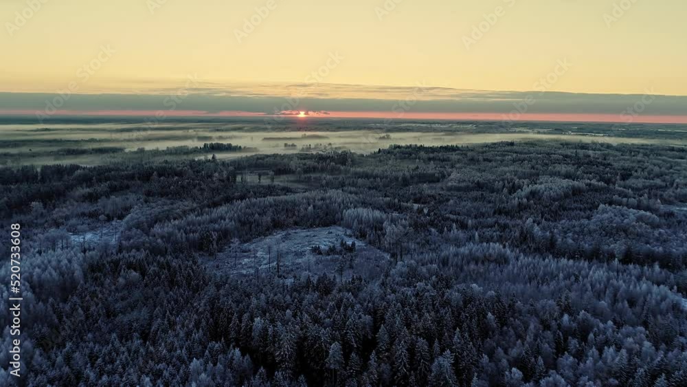 A vast forest on a frosty morning with the sunrise on the horizon and low-lying fog - high altitude aerial view A vast forest on a frosty morning with the sunrise on the horizon and low-lying fog - high altitude aerial view