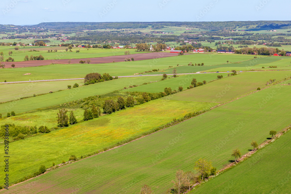 Aerial view at a cultivated landscape in summer