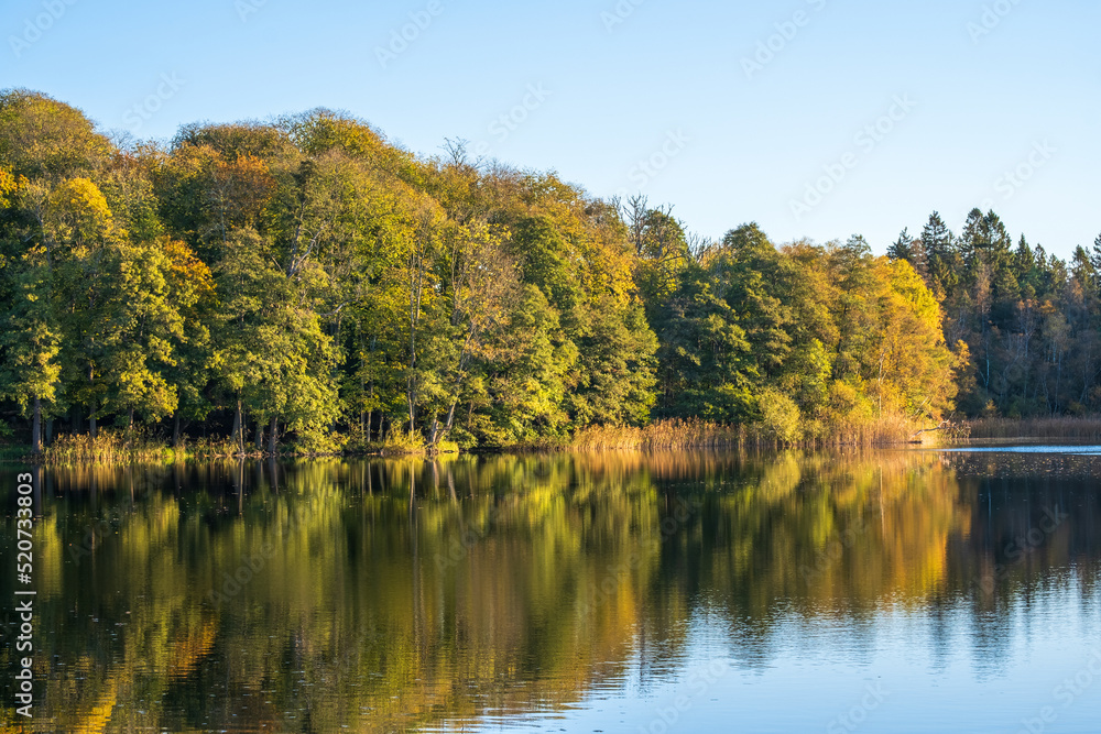 Forest lake with water reflections at autumn Forest lake with water reflections at autumn