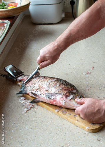Man cleaning bream fish in the kitchen, only hands close up.