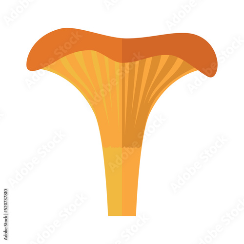 Mushroom chanterelle. A colored icon of a red forest mushroom. A delicious and healthy product. Vector illustration isolated on a white background for design and web.