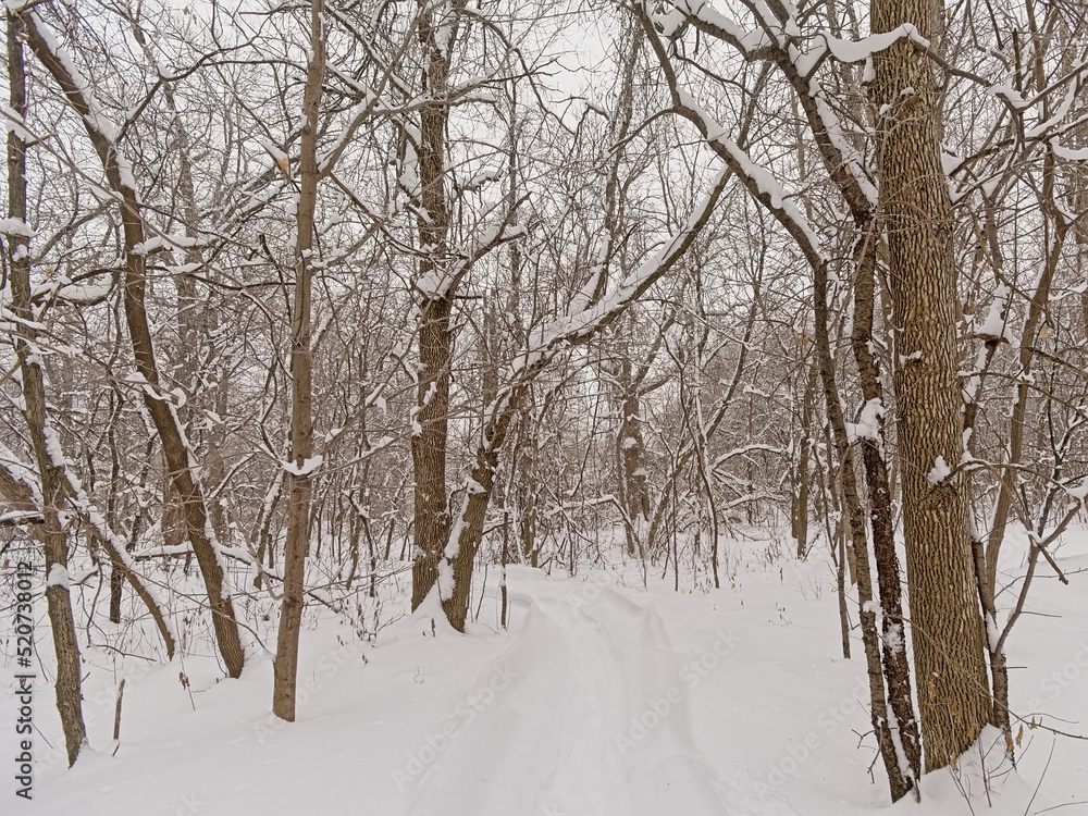 Hiking trail through Ile de la visitation nature park in the snow. Montreal Hiking trail through Ile de la visitation nature park in the snow. Montreal