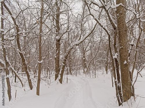 Hiking trail through Ile de la visitation nature park in the snow. Montreal