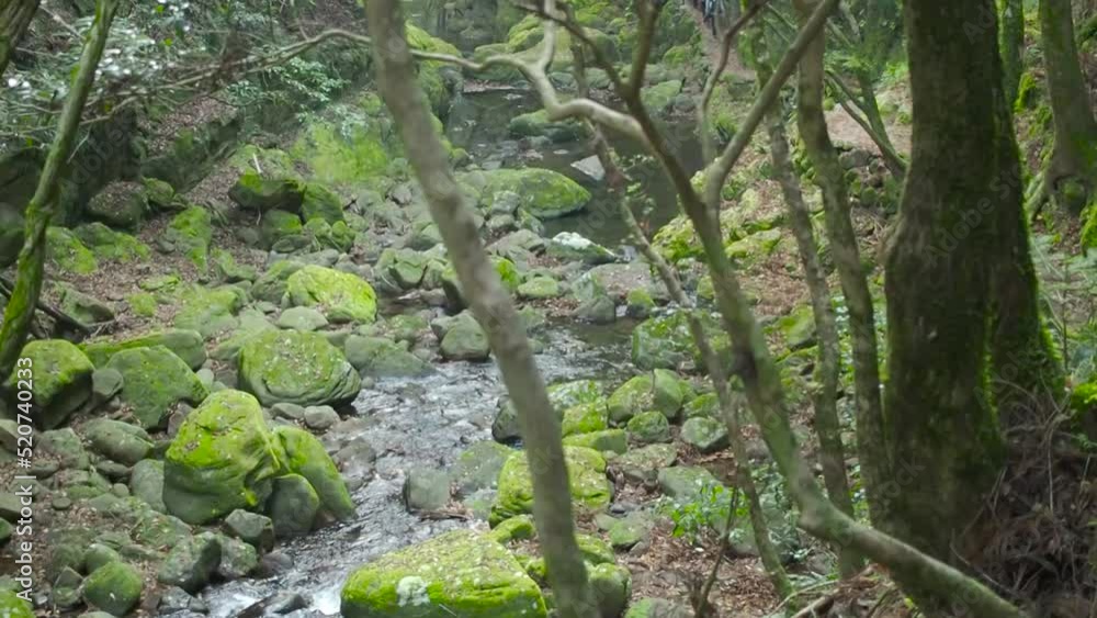 River water flow and Moss rock in the mountain