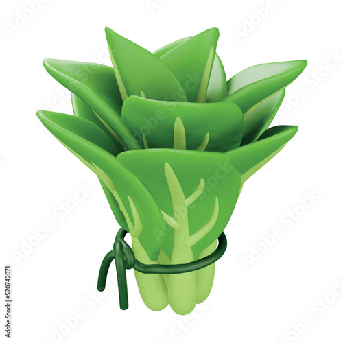 Spinach 3d rendering isometric icon.