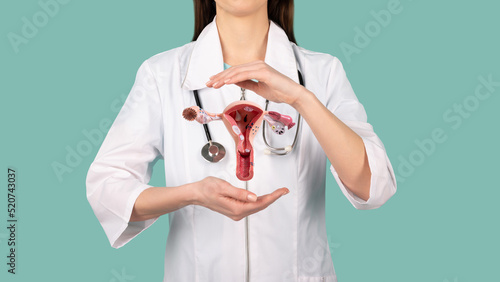 Female doctor Gynecologist with a stethoscope holds model of female reproductive system in the hands. Help and care concept photo