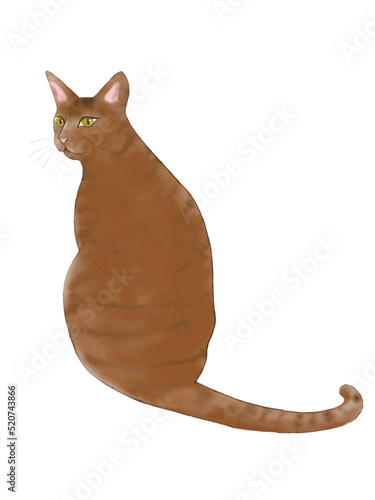 日本の猫のイラスト、トラ模様の猫のイラスト、茶色い猫のイラスト、座っている茶トラ、振り向いている猫のイラスト、振り向いているチャトラ