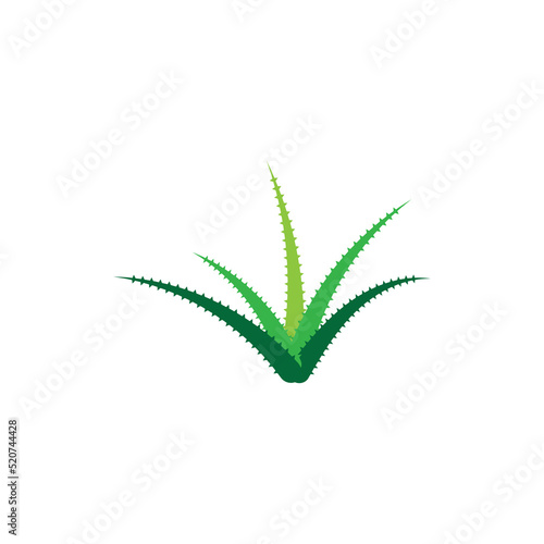 Aloe vera logo vector ilustration template