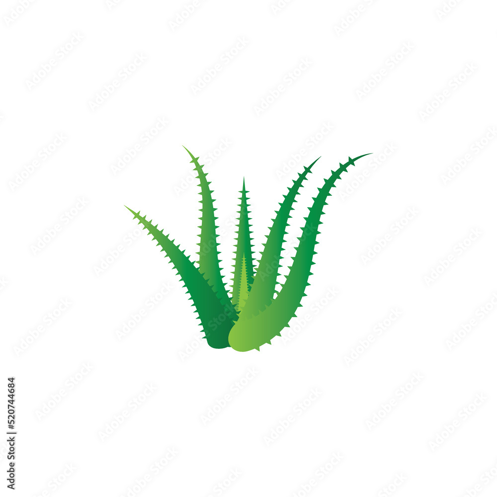 Aloe vera logo vector ilustration template Aloe vera logo vector ilustration template