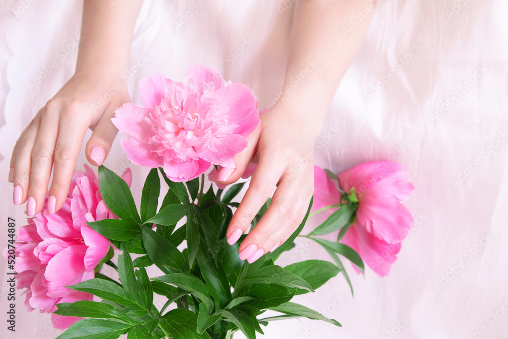 Woman hands close up touching a pink peony on a white background.