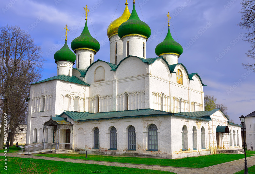 The Transfiguration Cathedral of the Spaso-Evfimievsky Monaster
