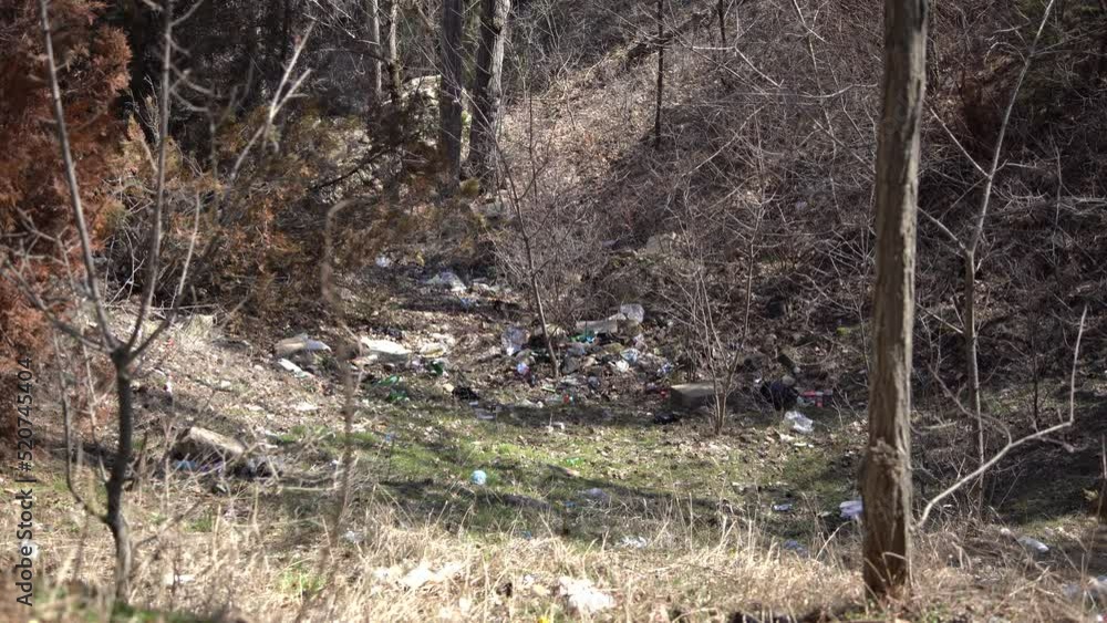 Environmental Pollution in the Forest.
Environmental pollution caused by paper bottles and plastics thrown into the forest.
Environmental Pollution in the Forest.
Environmental pollution caused by paper bottles and plastics thrown into the forest.