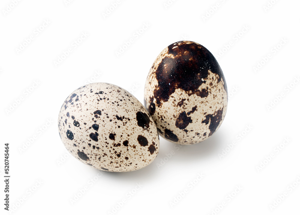 Quail eggs placed on a white background Quail eggs placed on a white background