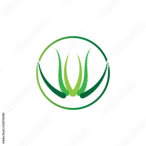 Aloe vera logo vector ilustration template