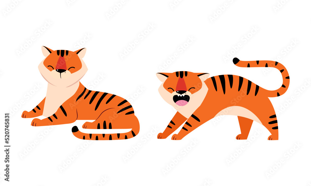 Fototapeta premium Striped Tiger with Orange Fur Sitting and Humping Vector Set