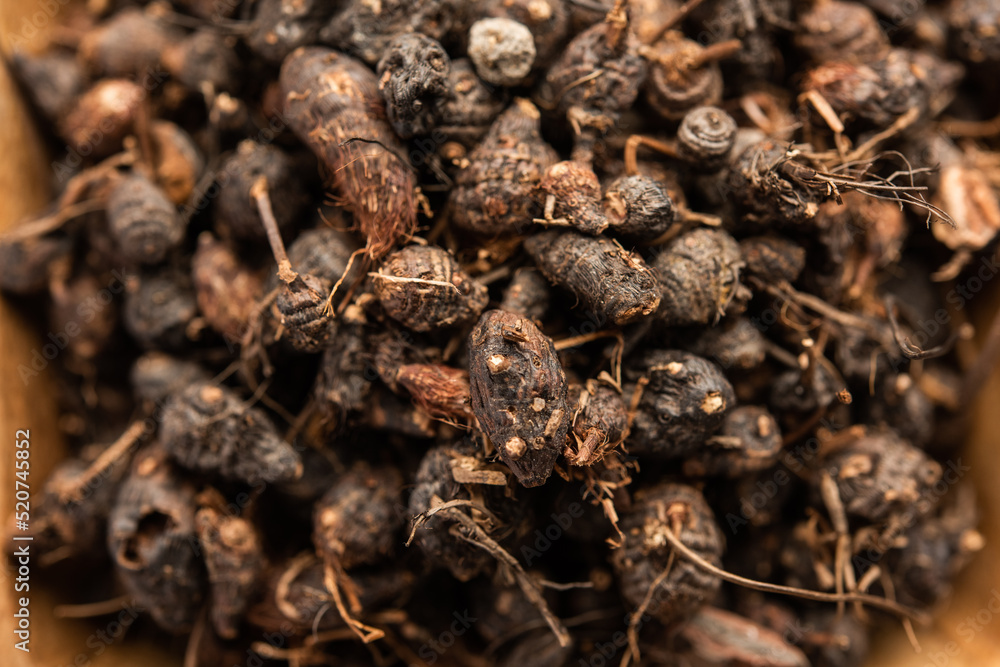 Ayurvedic Nagarmotha - Cyperus Scariosus or Cypriol in a bowl or heap Ayurvedic Nagarmotha - Cyperus Scariosus or Cypriol in a bowl or heap