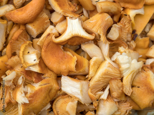 chopped chanterelle mushrooms