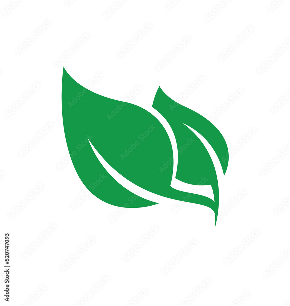 beautiful lush green leaves pair beautiful lush green leaves pair