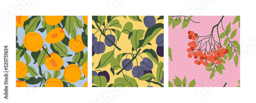 Vector set of seamless patterns with peach, plum and rowanberry fruits. Abstract design for paper, cover, fabric.