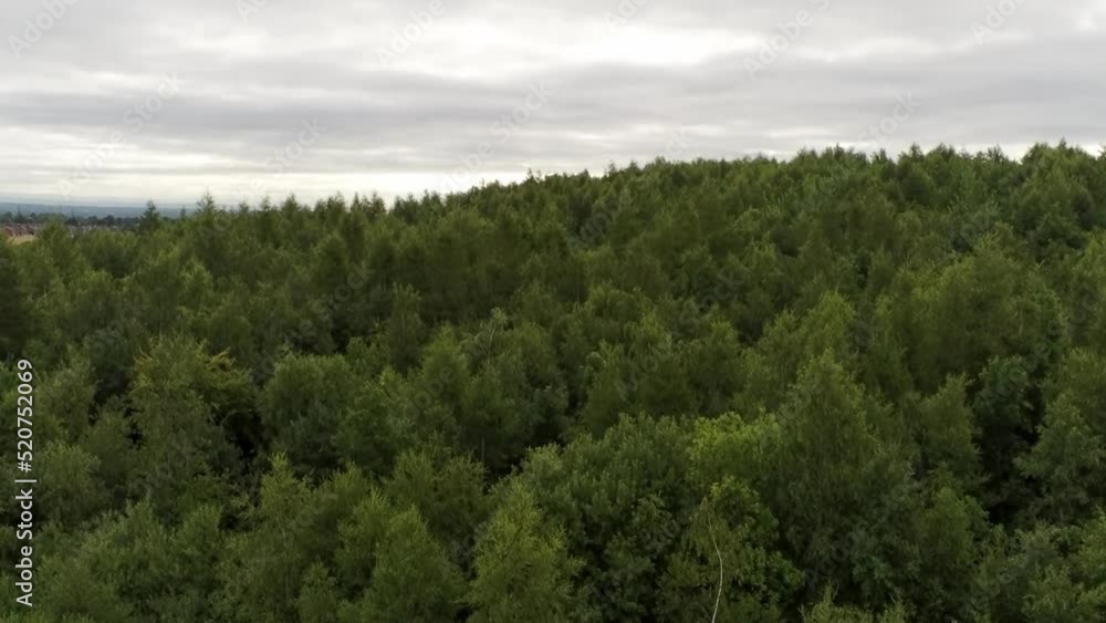 Aerial view above British woodland forested trees in scenic rural countryside park wilderness Aerial view above British woodland forested trees in scenic rural countryside park wilderness