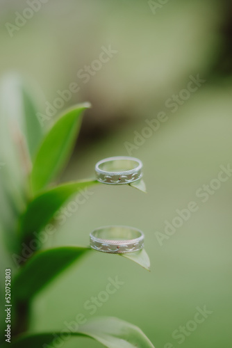 rings on a leaf