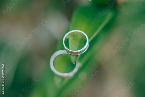 rings on green leaf
