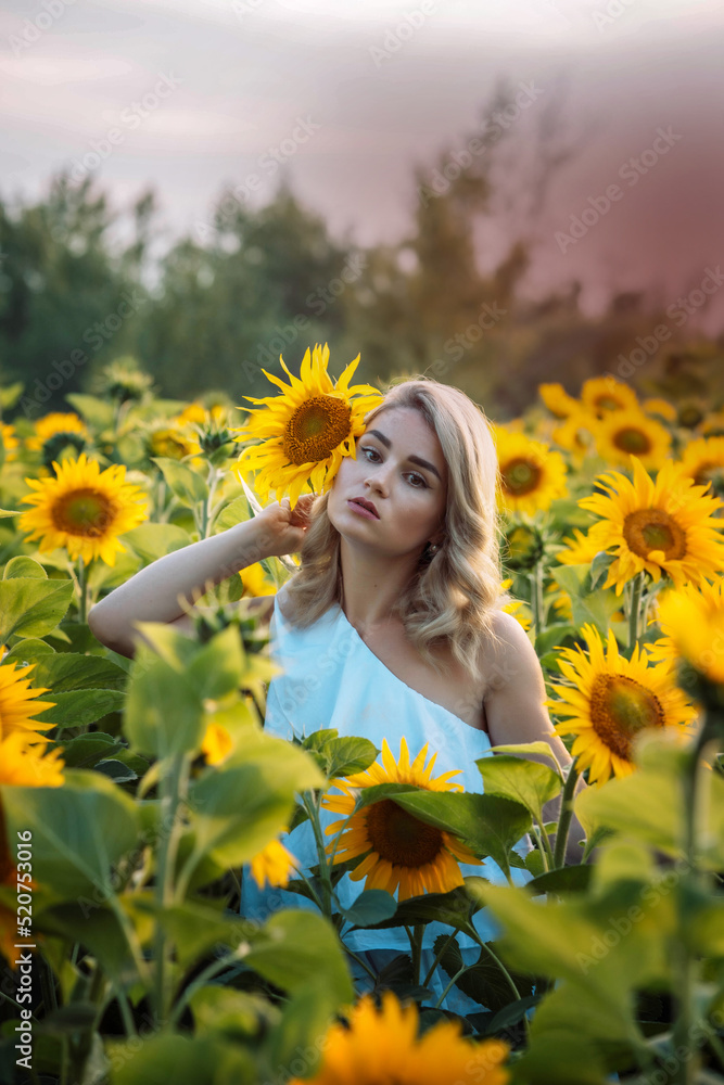 blonde girl stands in a field with sunflowers blonde girl stands in a field with sunflowers