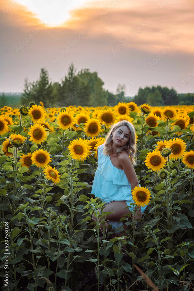 Fototapeta premium blonde girl stands in a field with sunflowers